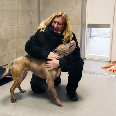 Blick in den neuen Zwingerbereich des Tierheims, in dem eine Frau mit einem Hund schmust.