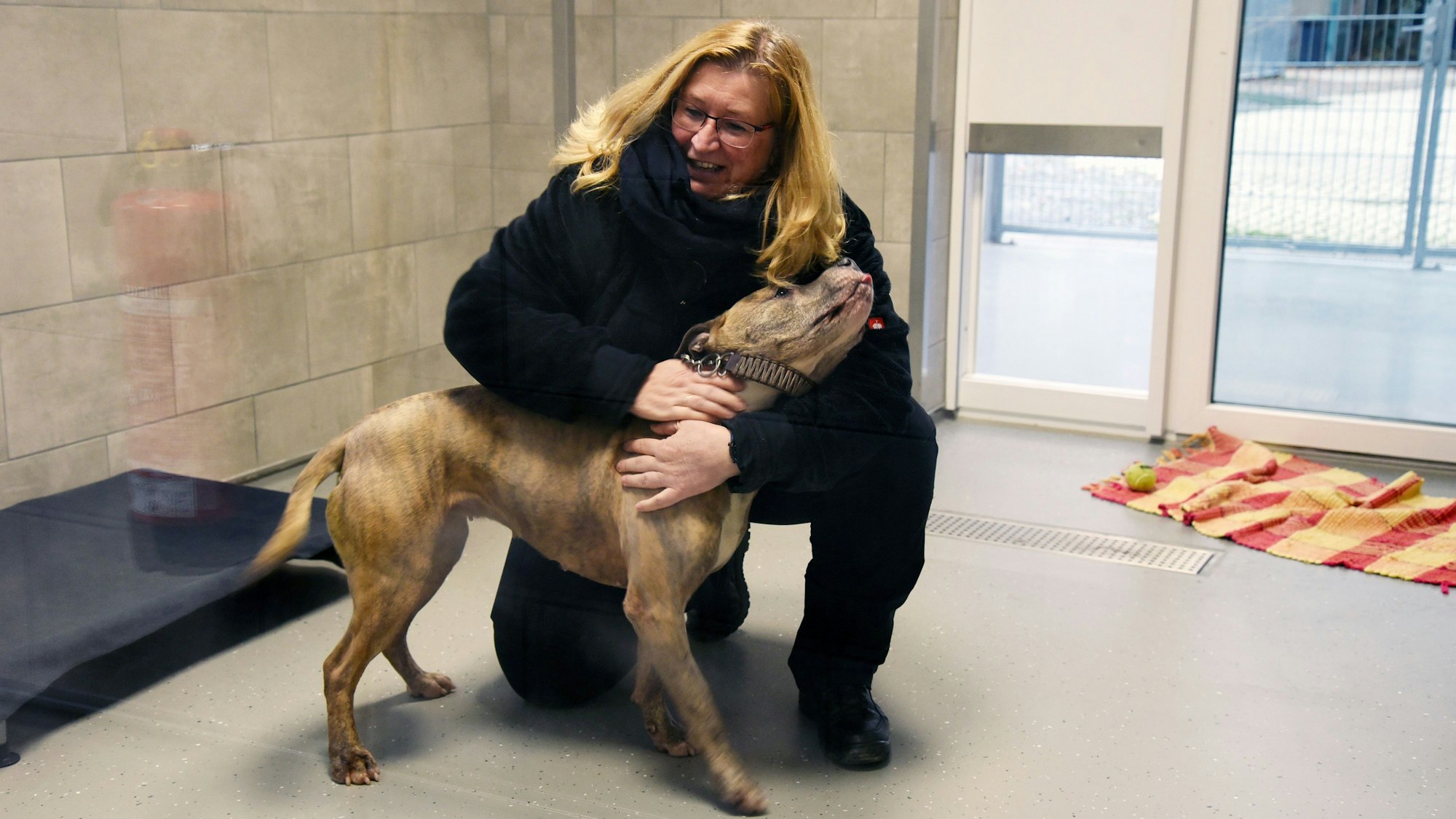 Blick in den neuen Zwingerbereich des Tierheims, in dem eine Frau mit einem Hund schmust.