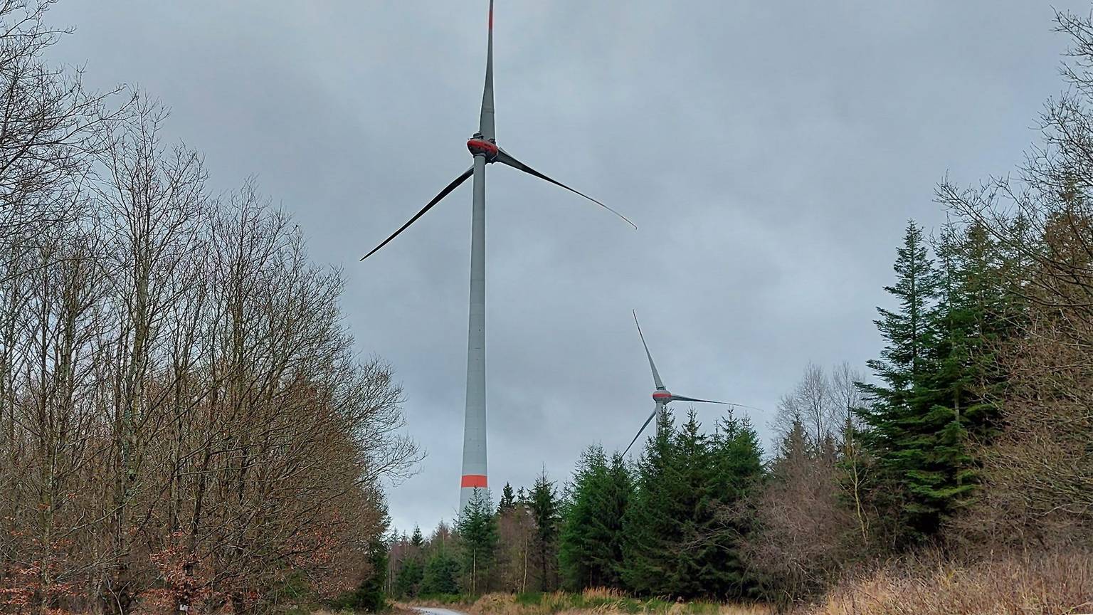 Zwei Windräder stehen im Wald bei Dahlem