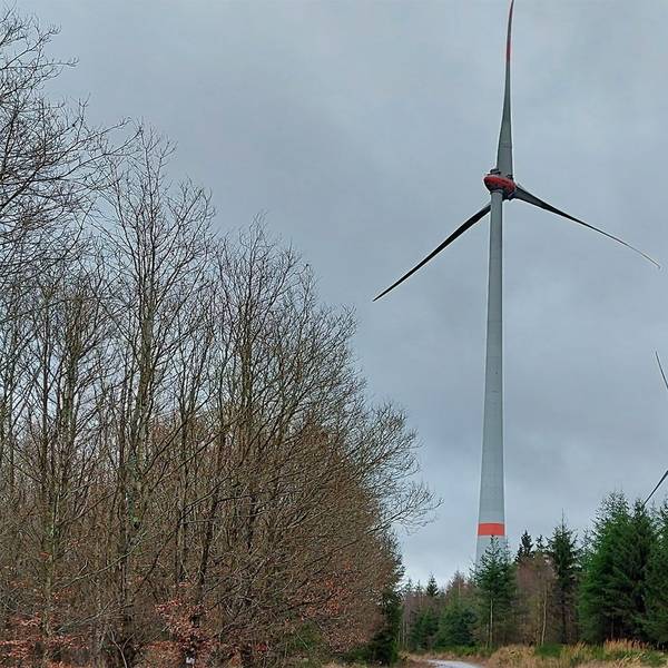 Zwei Windräder stehen im Wald bei Dahlem