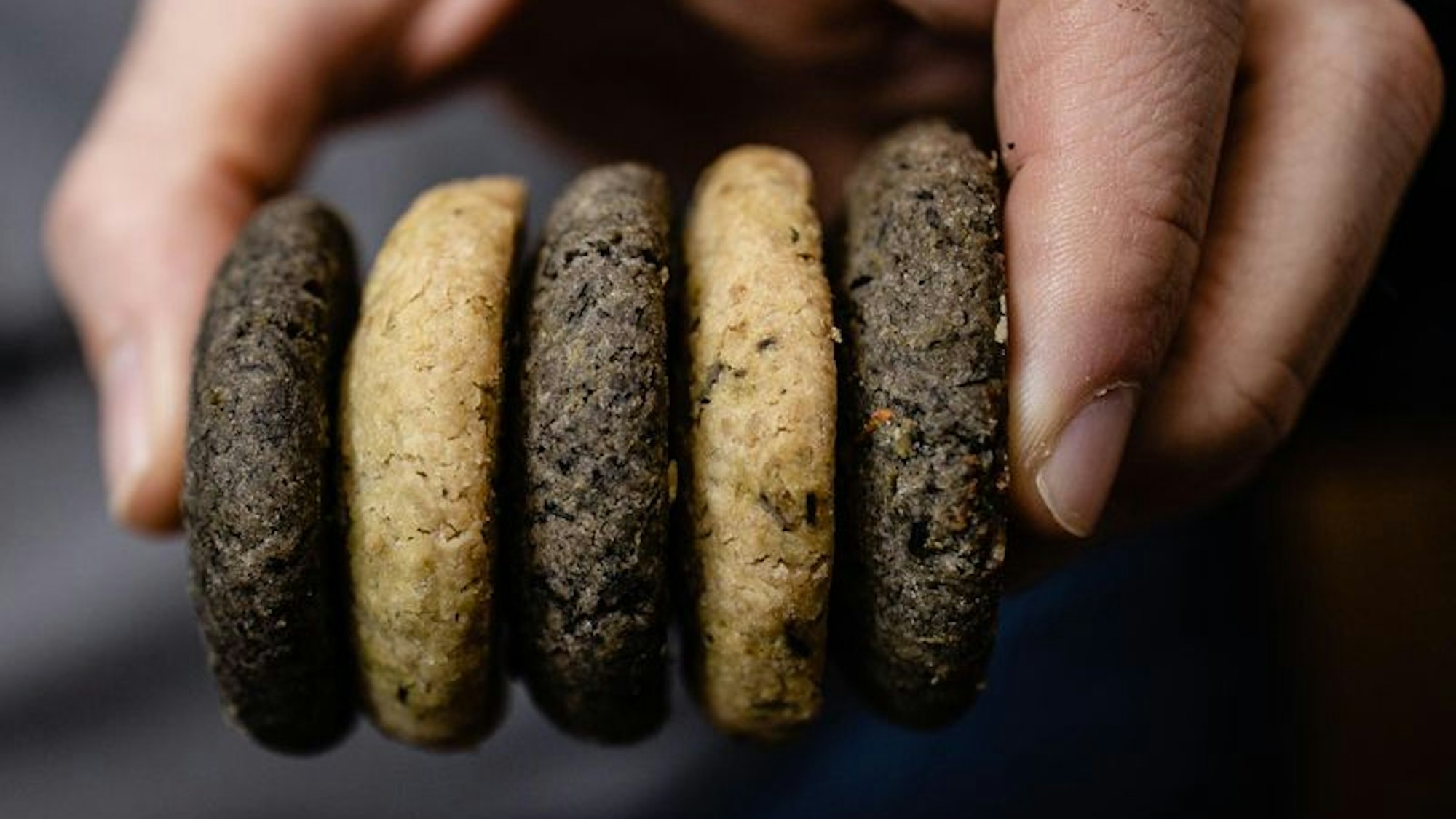 Eine Person hält zwei dunkle und zwei helle Forest Cookies, Cookies mit Fichtennadeln, in der Hand.