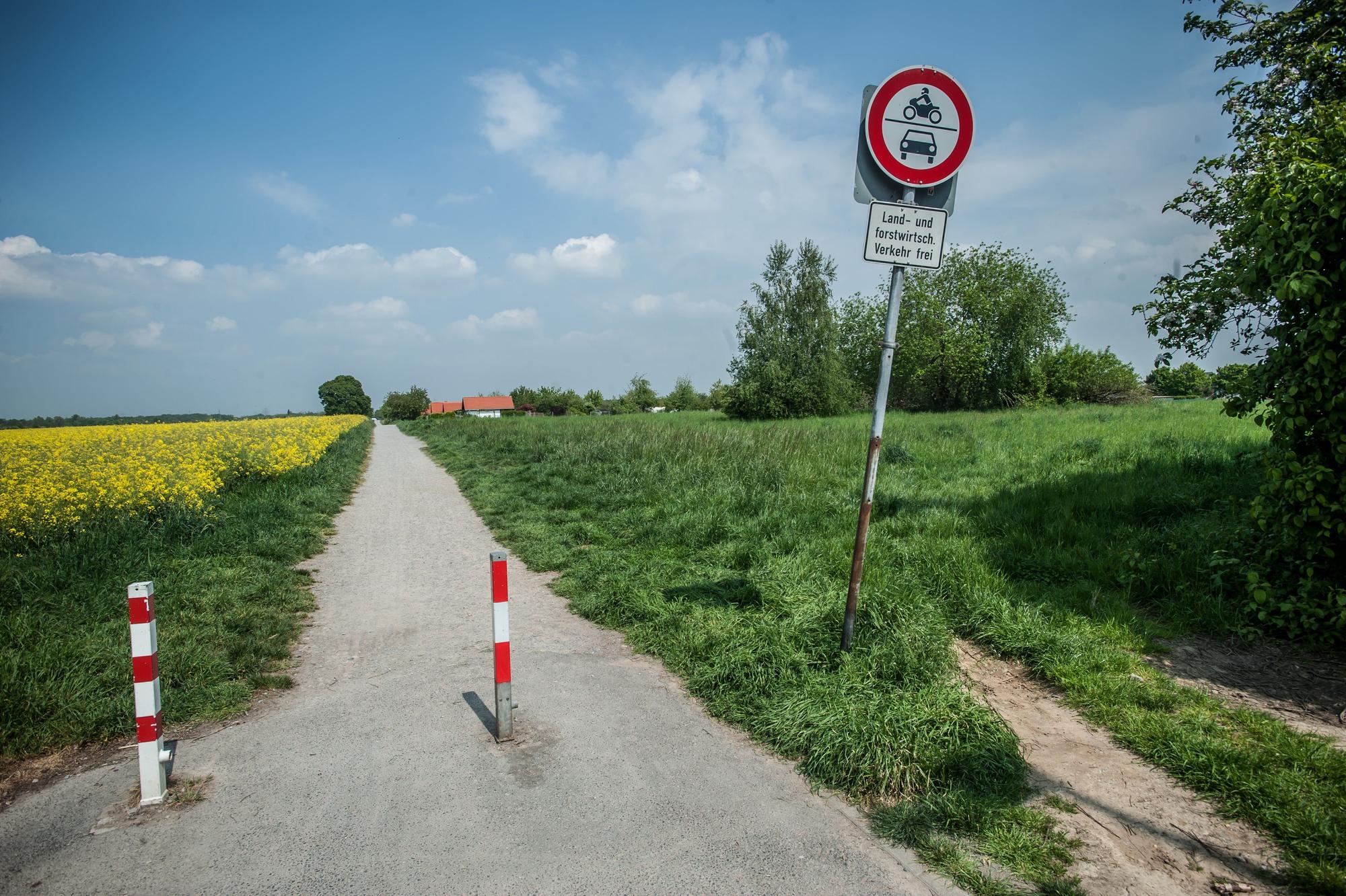 Zu sehen ist ein Feldweg, rechts davon befindet sich eine große, grüne Wiese mit vereinzelten Bäumen. Links des Feldes wächst Raps.