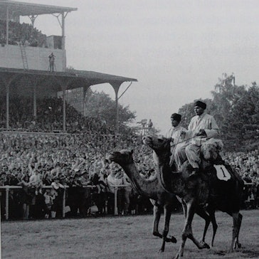Die Rennbahn mit vier Kamelen und Reitern im Vordergrund und Publikum im Hintergrund.