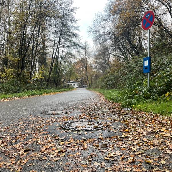 Ein Blick auf den Siegburger Seidenberg. Neben einem schmalen Weg verläuft ein Waldstück.