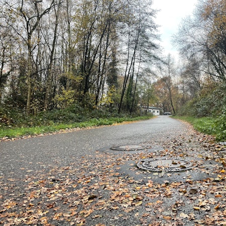 Ein Blick auf den Siegburger Seidenberg. Neben einem schmalen Weg verläuft ein Waldstück.