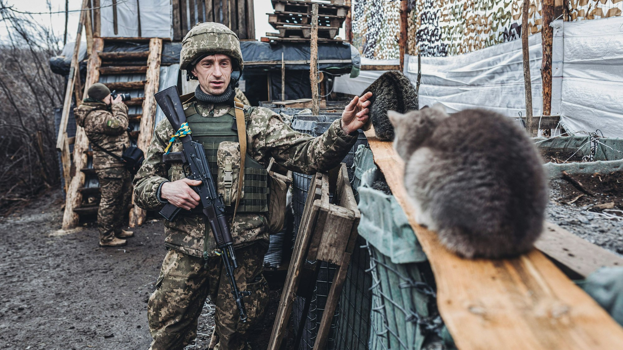 Ein ukrainischer Soldat streichelt zwei Katzen. Er ist voll gerüstet, trägt eine Waffe, mit der anderen Hand streichelt er eine Katze.