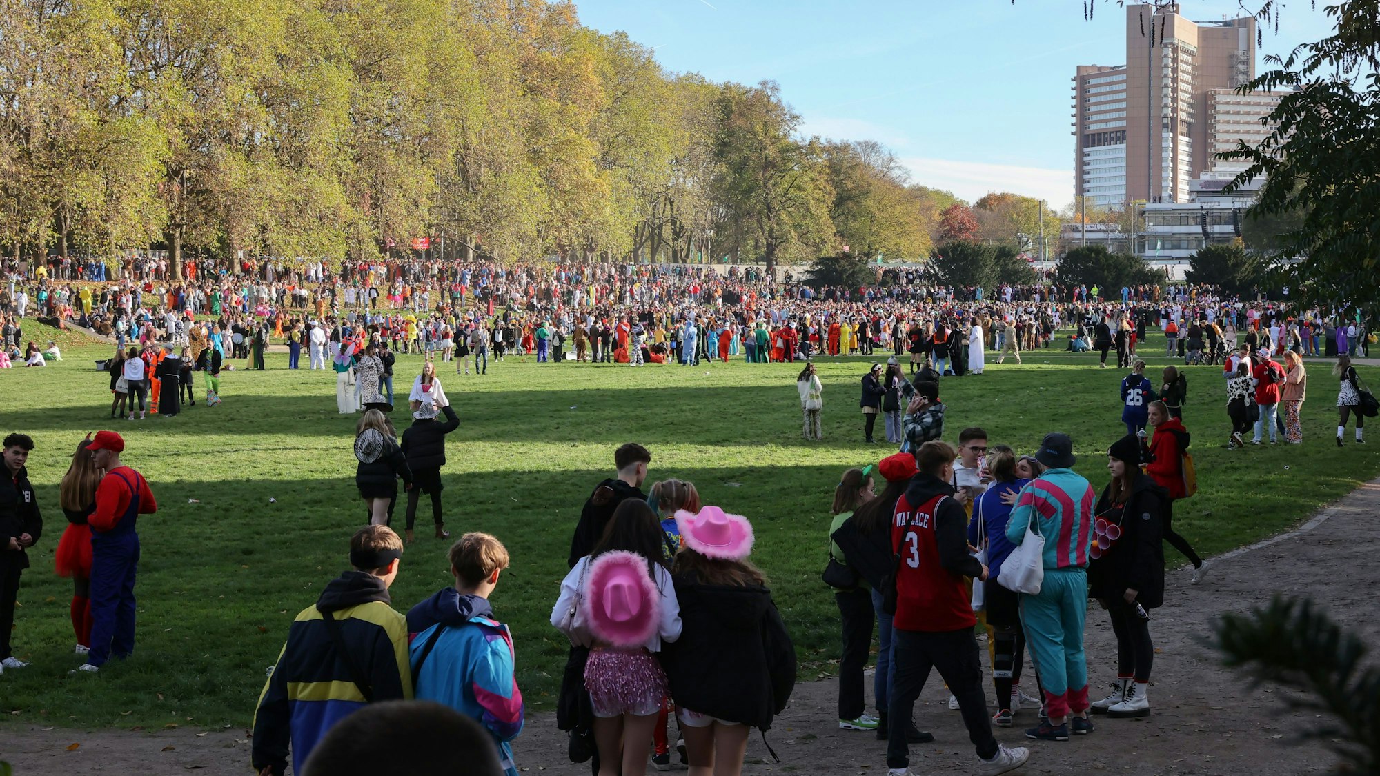 Feiernde auf der Uniwiese