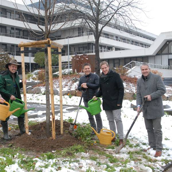 Mit Gießkannen und Spaten stehen Heike Schmitz (v.l.), Karl-Josef Schmitz, Stefan Dott, Markus Ramers und Markus Böhm an dem Baum, den sie gerade gepflanzt haben.