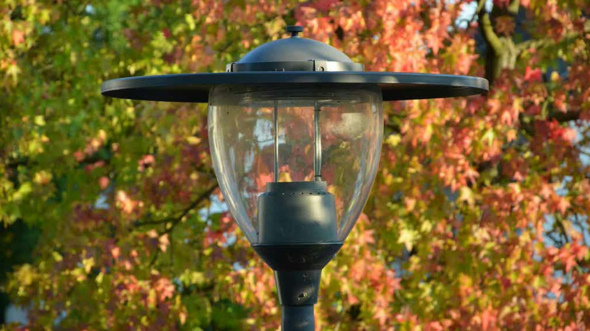 Das Bild zeigt eine Laterne vor farbigem Herbstlaub.