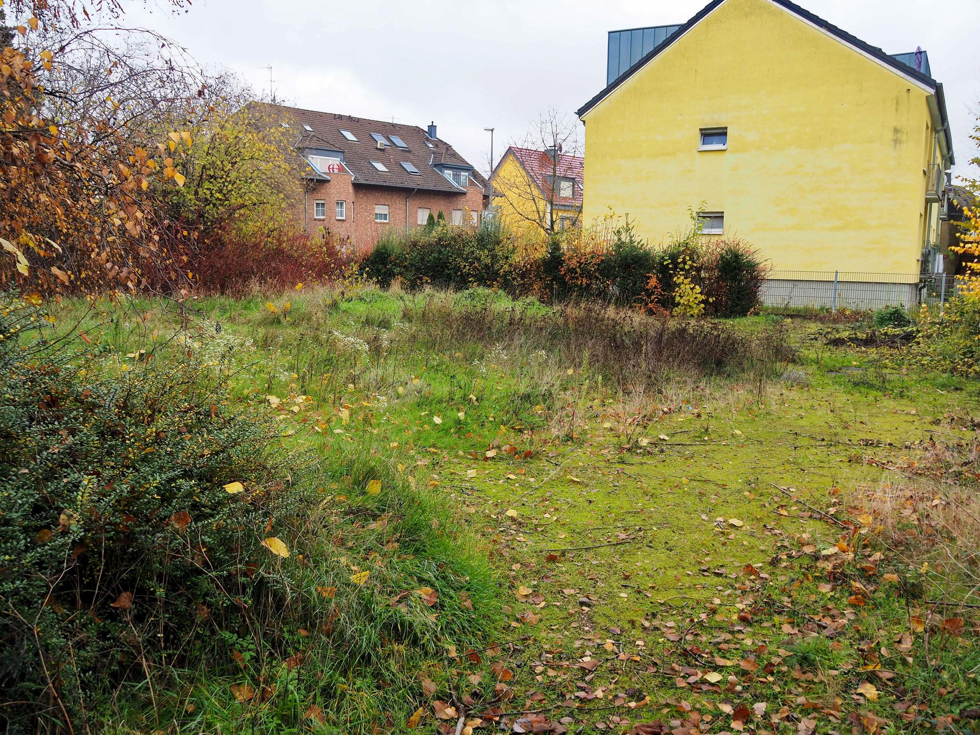 Eine verwilderte Wiese ist im Vordergrund zu sehen, dahinter steht ein gelbes Haus.