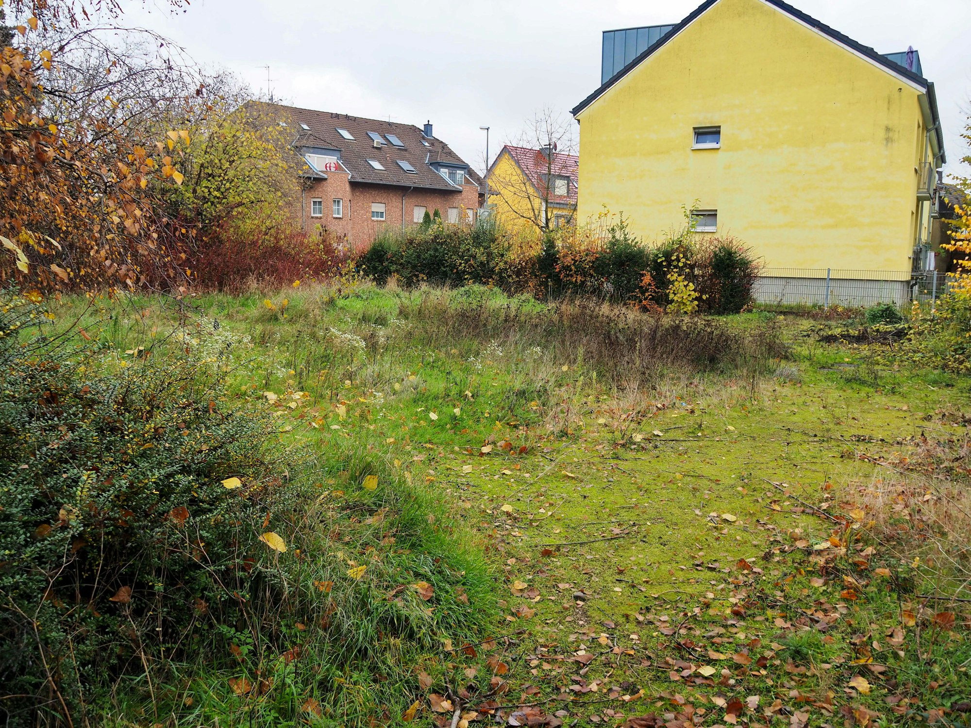 Eine verwilderte Wiese ist im Vordergrund zu sehen, dahinter steht ein gelbes Haus.