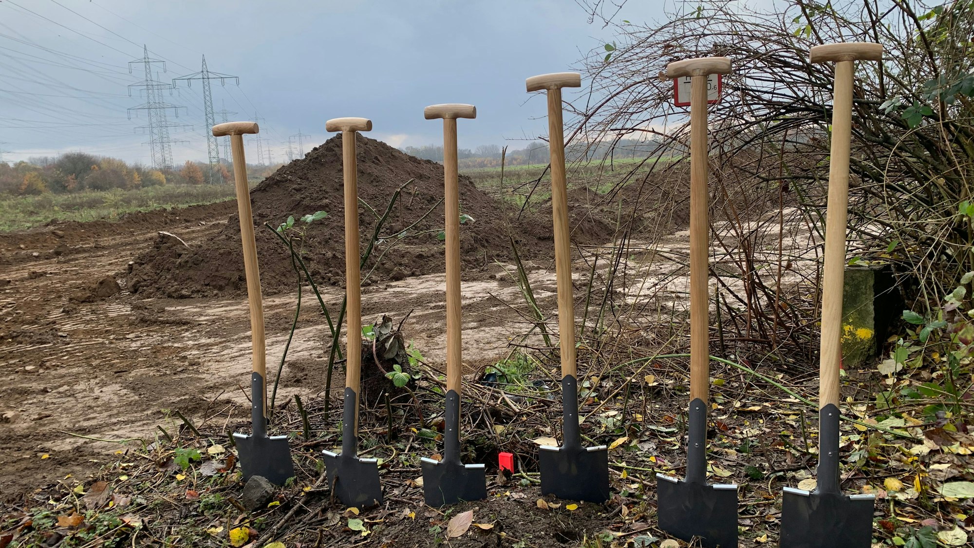 Sechs Spaten stecken in der Erde. Im Hintergrund ist ein Erdhaufen.