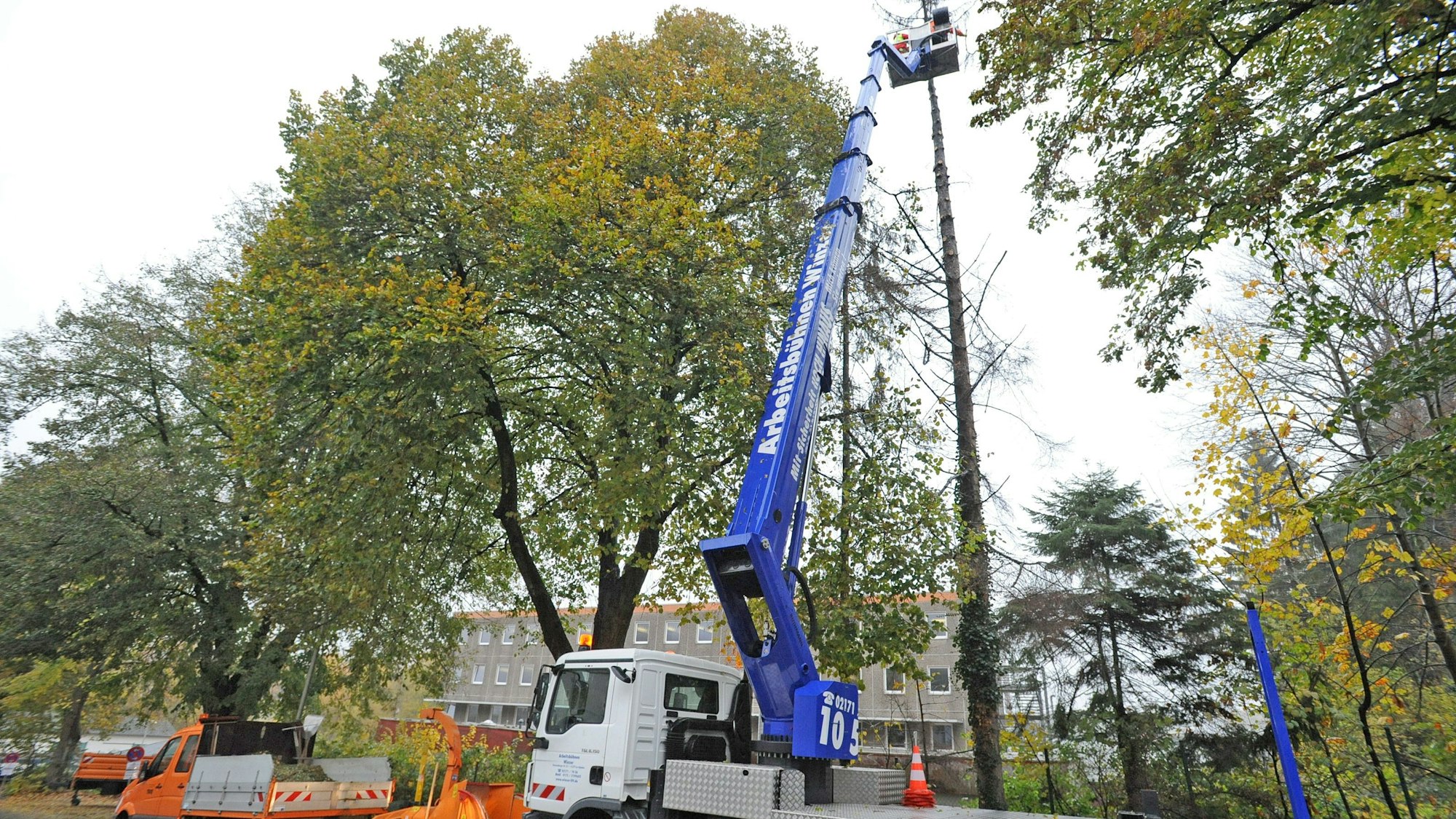 In Burscheid werden Bäume gefällt. Im Vordergrund ist ein orangefarbener Abfallwagen und ein blauer Kranwagen zu sehen. Im Hintergrund stehen mehrere grüne Bäume.