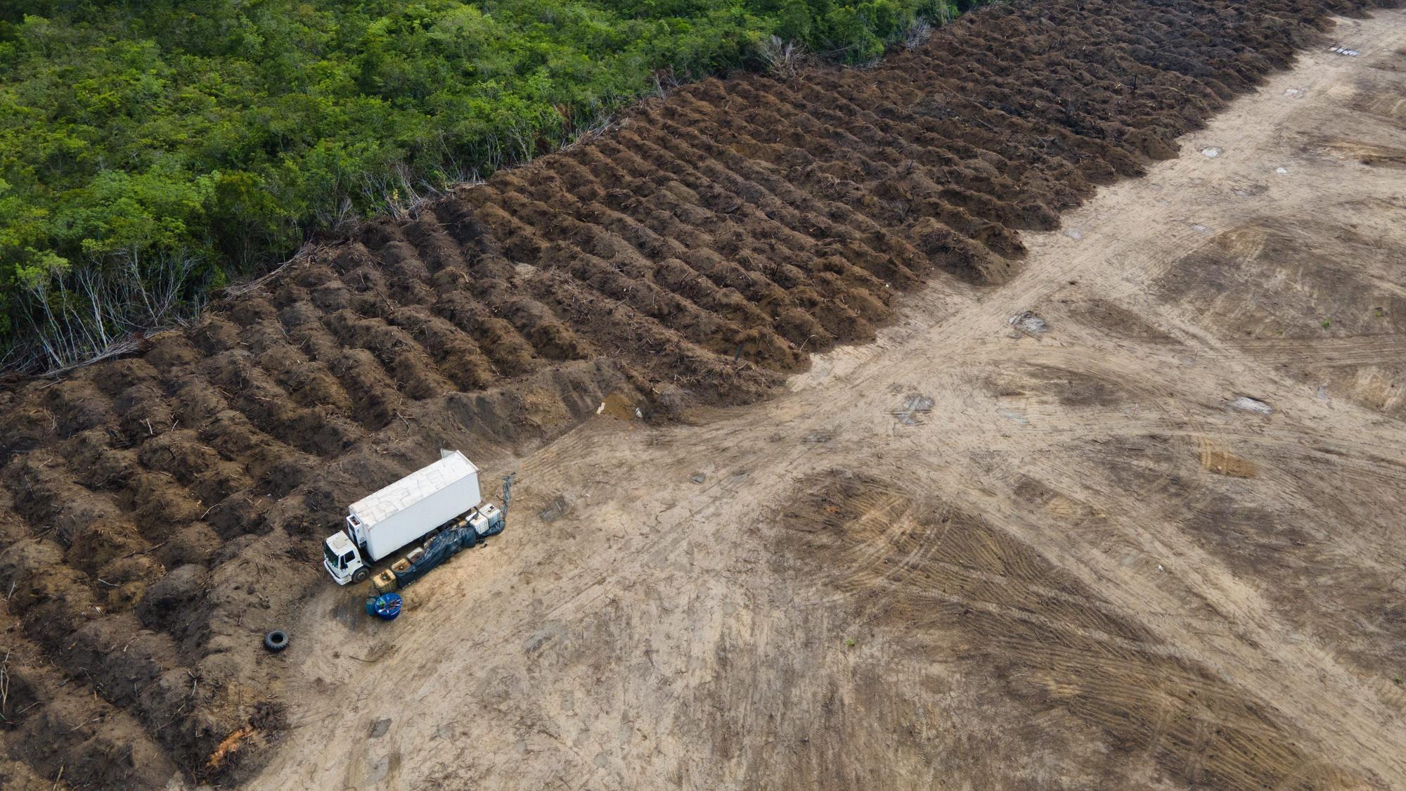 Ein Lastwagen steht in einem abgeholzten Gebiet des Amazonas.