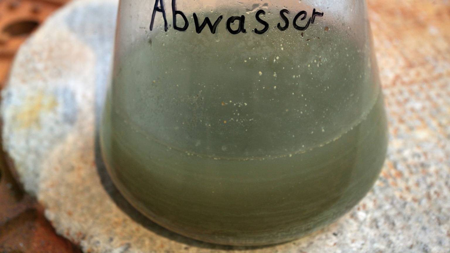 Eine Abwasser-Probe in einem durchsichtigen Behälter ist zu sehen.