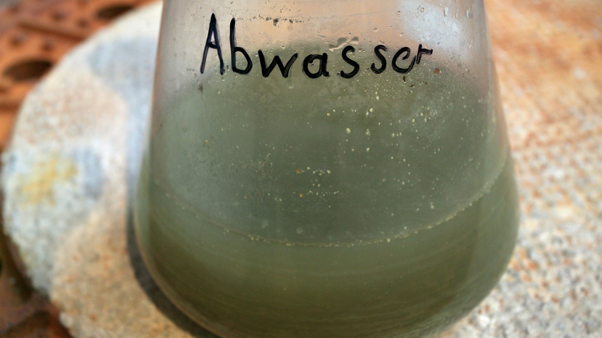 Eine Abwasser-Probe in einem durchsichtigen Behälter ist zu sehen.