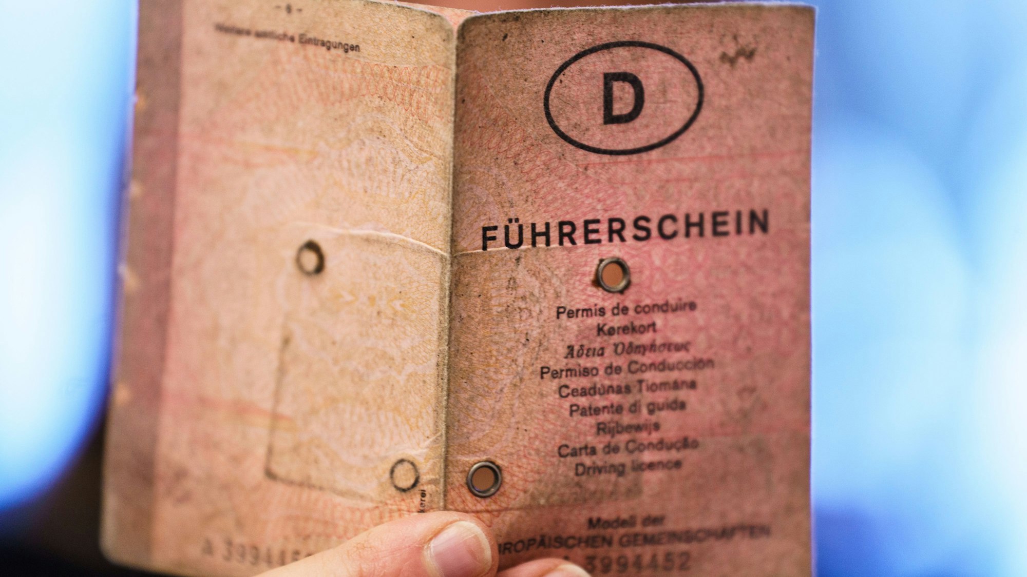 Ein rosa Papierführerschein wird hochgehalten.