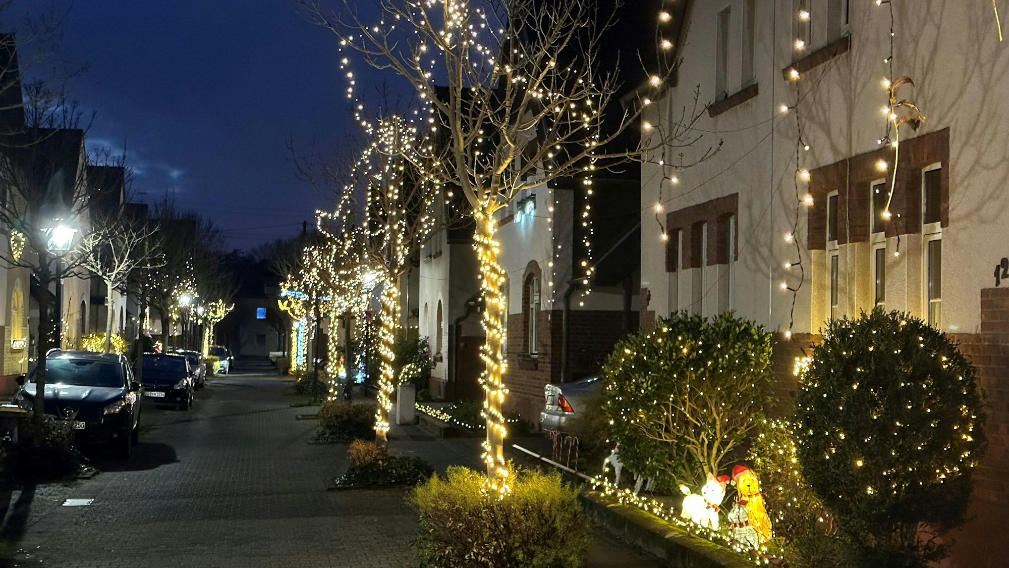 Knapp 40 Bäume wurden mit Lichterketten dekoriert.