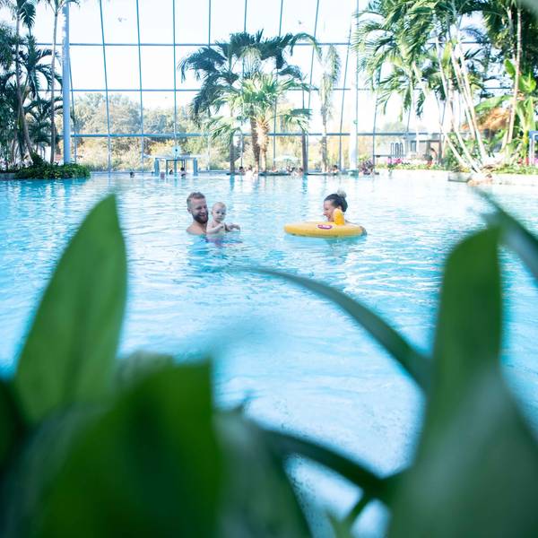 Unter dem Kuppelglasdach der Euskirchener Therme hat eine Familie mit einem Kleinkind Spaß im warmen Wasser. Am Beckenrand sind Palmen und andere exotische Pflanzen zub sehen.