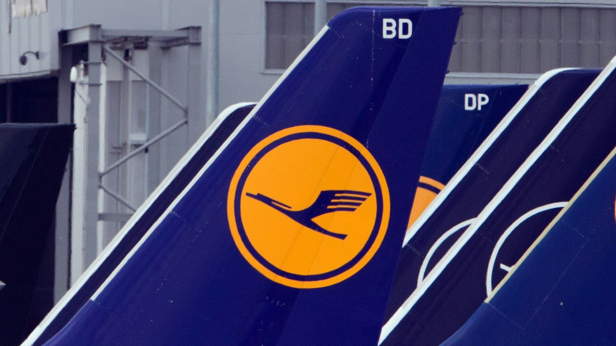 Die Heckflossen eines Lufthansa-Flugzeugs sind zu sehen. Auf den blauen Heckflossen ist das Logo der Lufthansa in Gelb abgebildet. (Symbolbild)