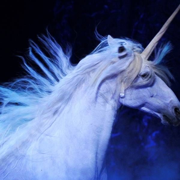 Ein zum Einhorn kostümiertes Pferd tritt bei einer Vorstellung der Show ‚Magnifico‘ auf.