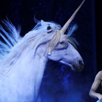 Ein zum Einhorn kostümiertes Pferd tritt bei einer Vorstellung der Show ‚Magnifico‘ auf.