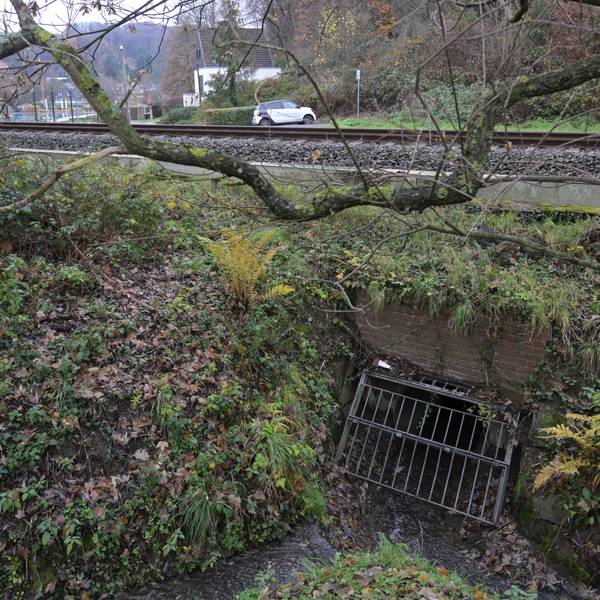Der Knipperbach wird durch ein Rohr unter den Schienen hindurchgeleitet. Im Augenblick ein kleines Rinnsal.