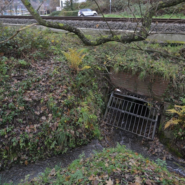 Der Knipperbach wird durch ein Rohr unter den Schienen hindurchgeleitet. Im Augenblick ein kleines Rinnsal.
