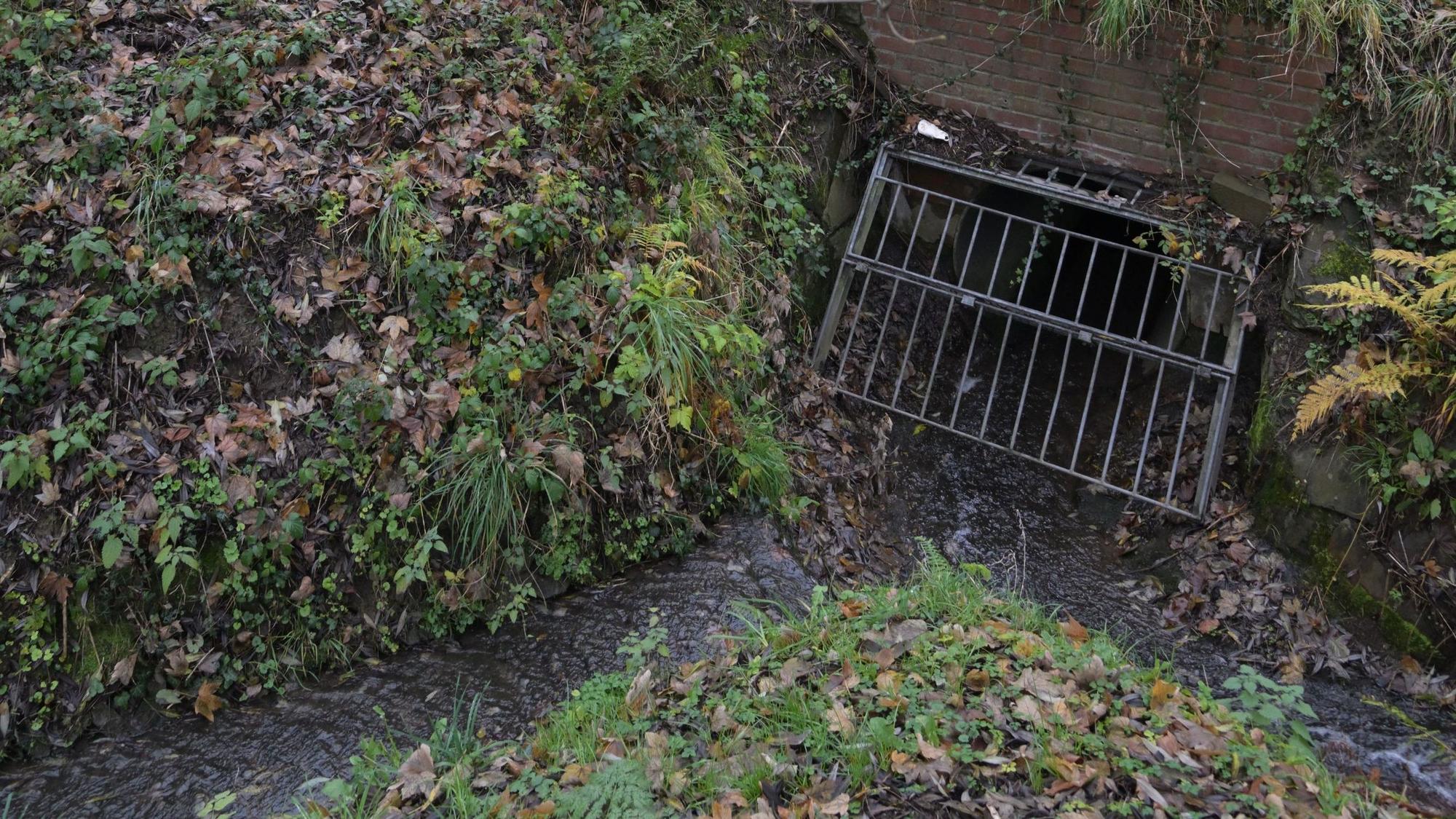 Der Knipperbach wird durch ein Rohr unter den Schienen hindurchgeleitet. Im Augenblick ein kleines Rinnsal.
