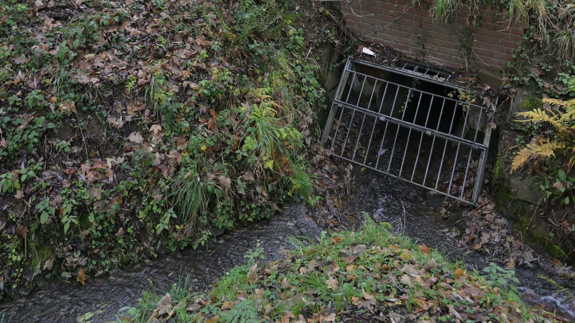 Der Knipperbach wird durch ein Rohr unter den Schienen hindurchgeleitet. Im Augenblick ein kleines Rinnsal.