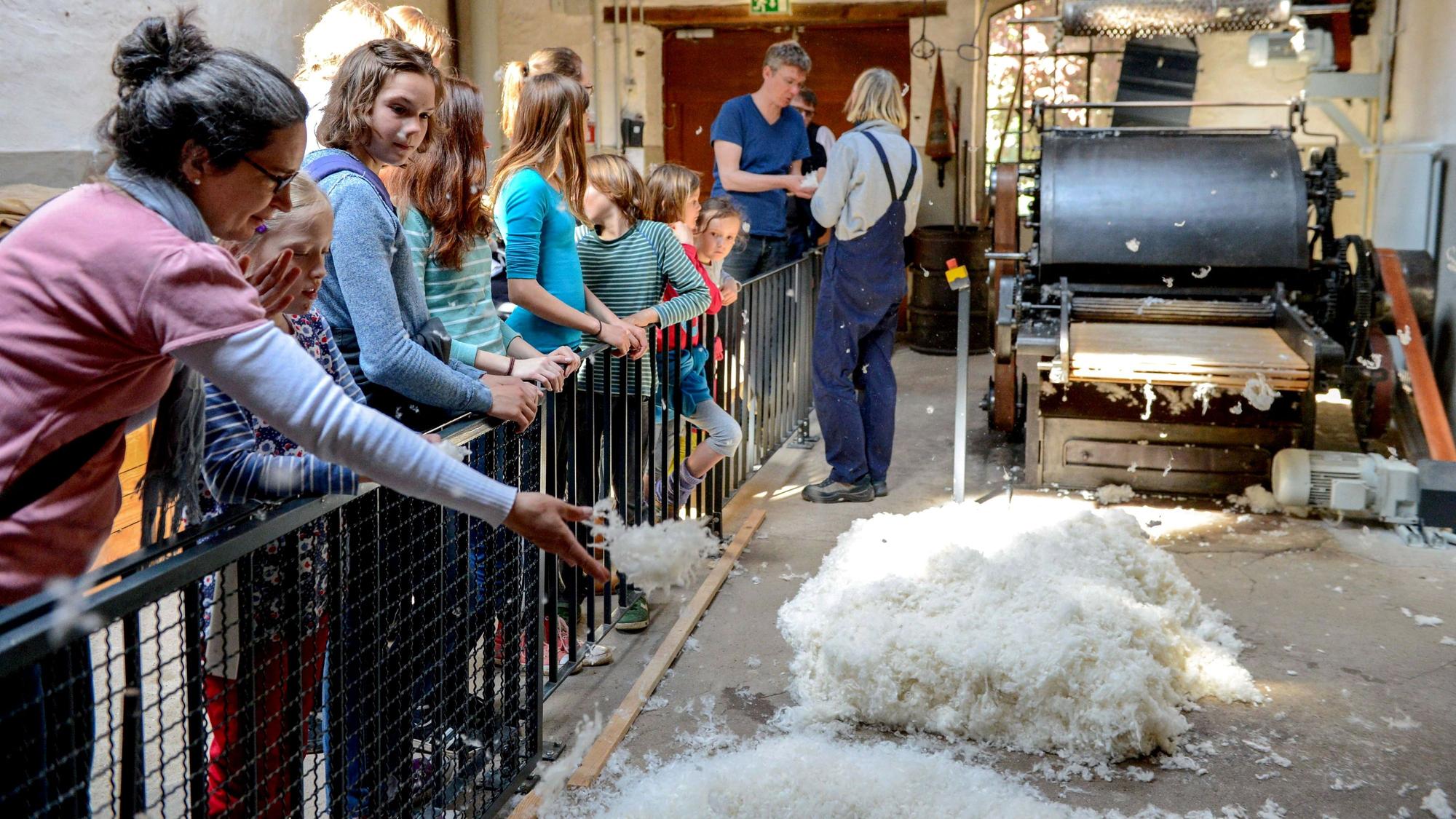 Wolle liegt im LVR-Museum