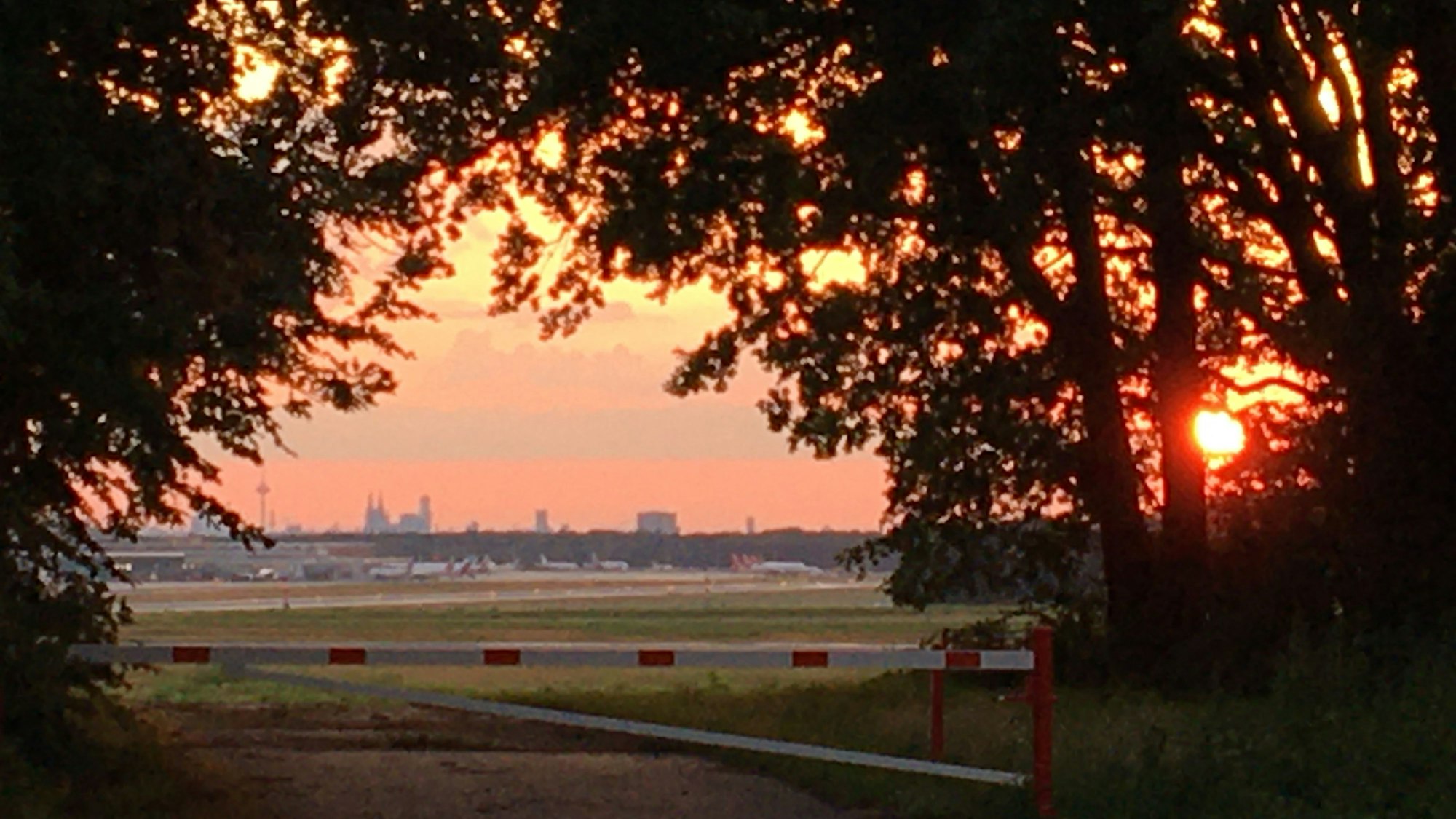 Sonnenuntergang in der Wahner Heide mit Blick auf den Flughafen.