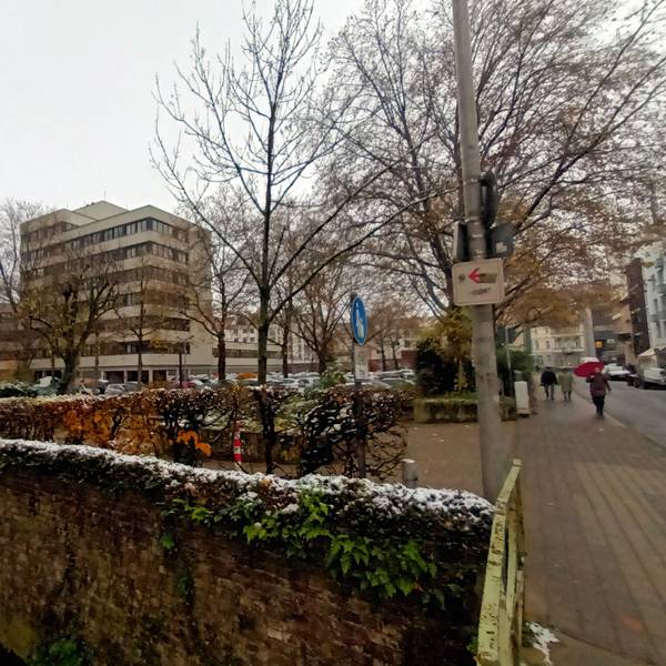 Die 15 Bäume, die für den Neubau am Amtsgericht gefällt werden sollen.