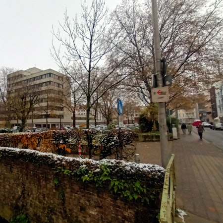 Die 15 Bäume, die für den Neubau am Amtsgericht gefällt werden sollen.