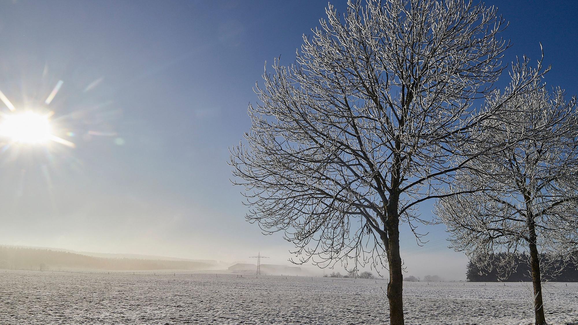 Die Sonne scheint an einem wolkenlosen Himmel auf eine dünn mit Schnee bedeckte Wiese, an deren Rand Bäume mit Raureif zu sehen sind.