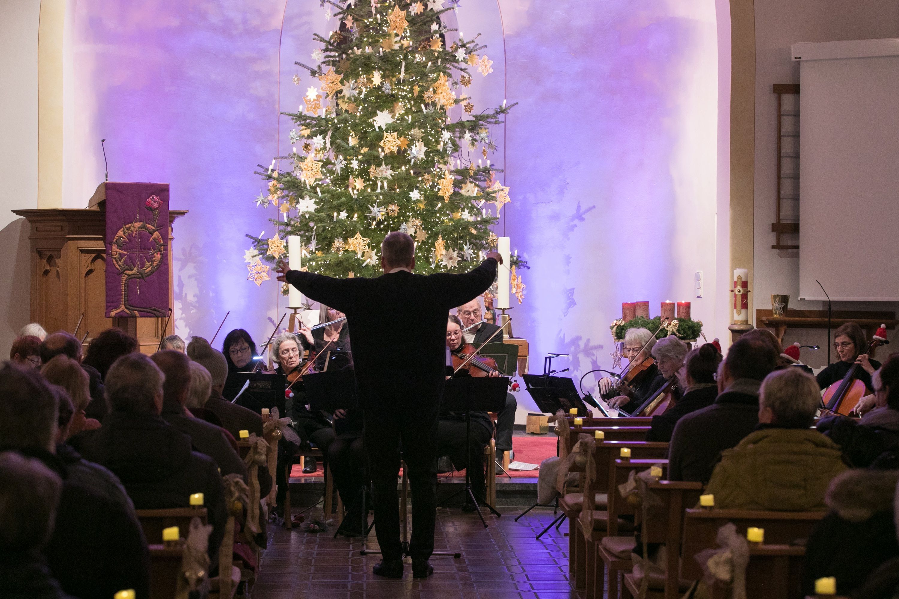 Das Oberbergische Kammerorchester spielt in der evangelischen Kirche in Oberbantenberg. Der Dirigent steht in Richtung eines großen Weihnachtsbaums.