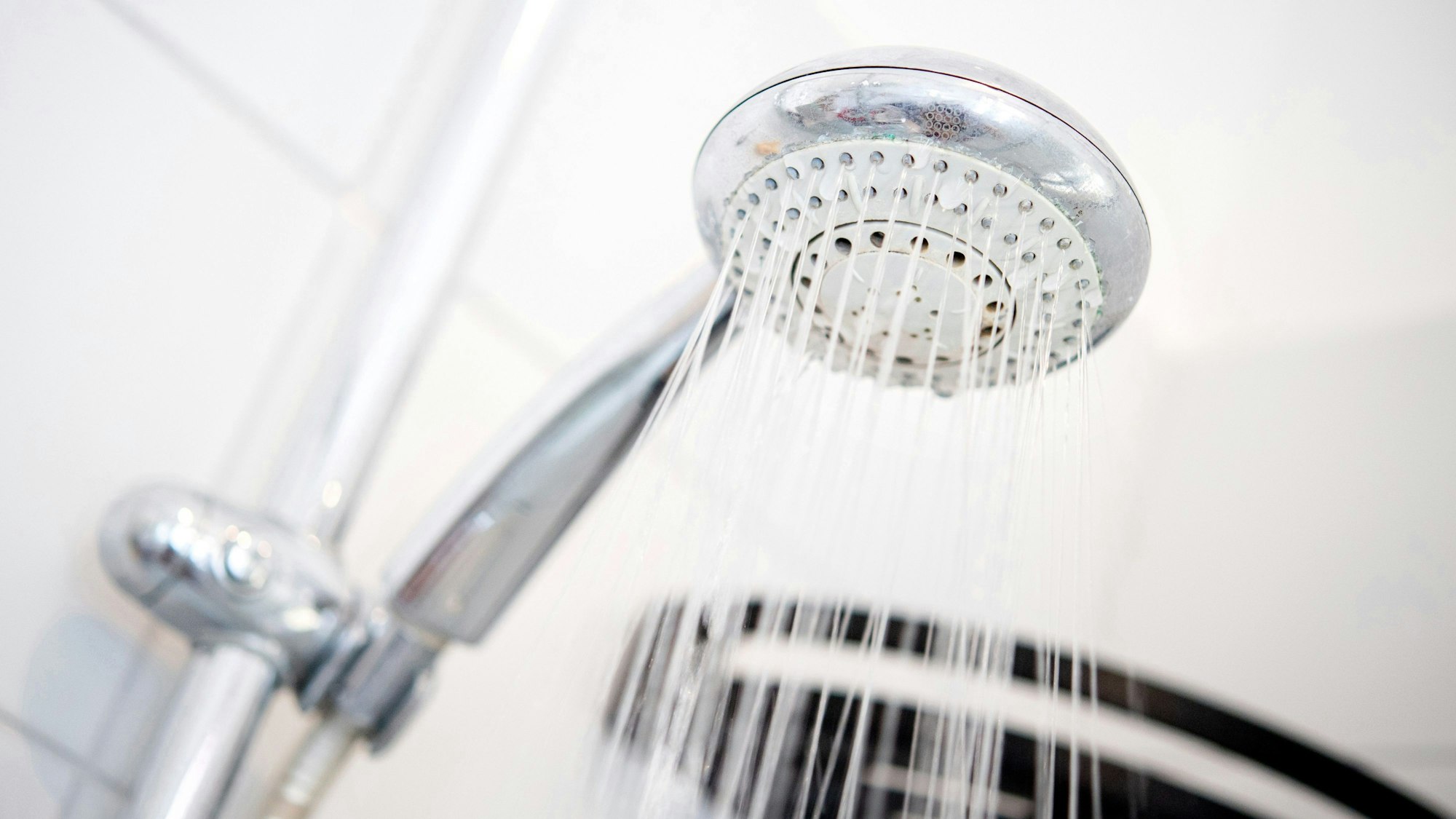 Ein Duschkopf hängt in einer Dusche in einem Badezimmer. Foto: Hauke-Christian
