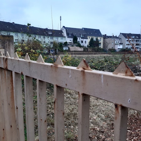 Alter Sportplatz an der Waldstraße soll bebaut werden.