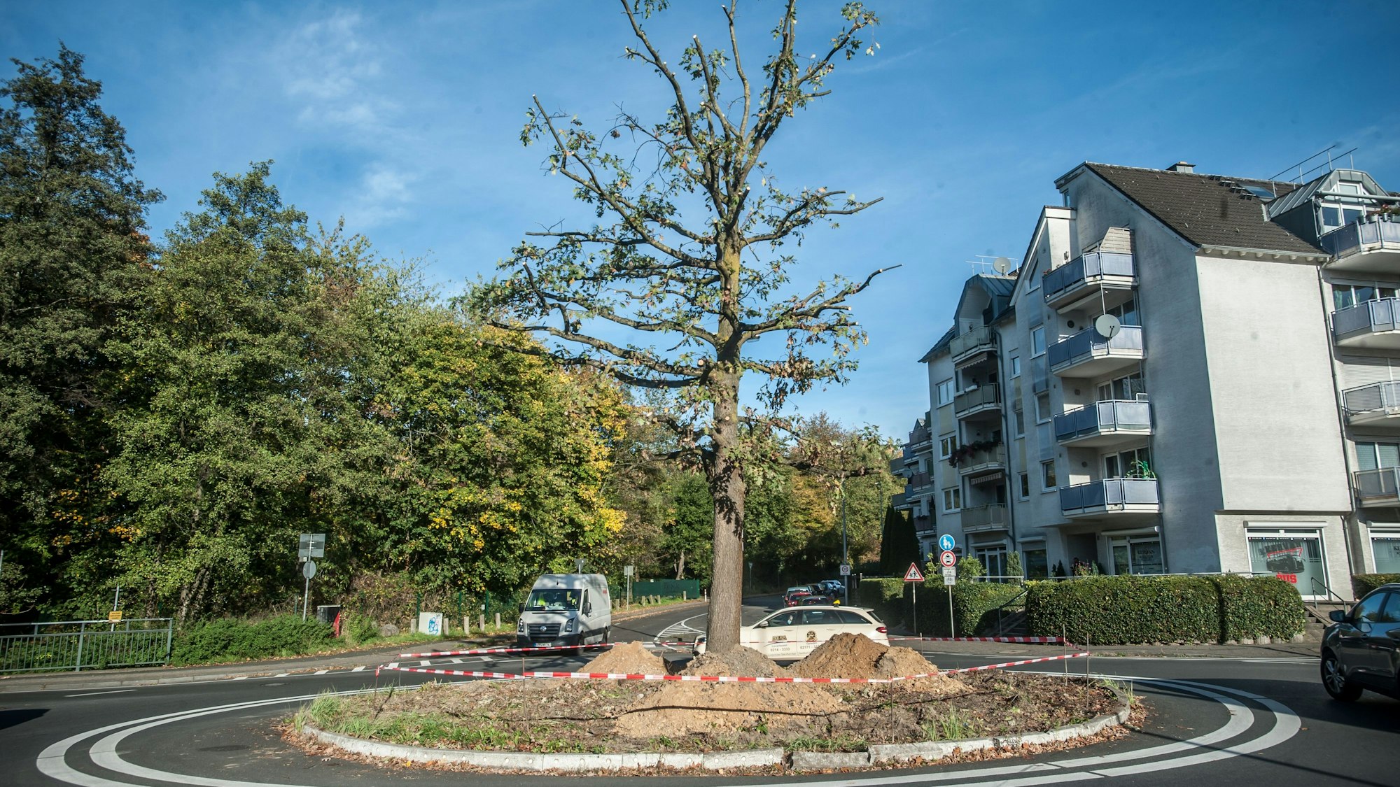 Die Millenniums-Eiche im Kreisverkehr Rennbaumstraße / Stauffenbergstraße / Dechant-Krey-Straße