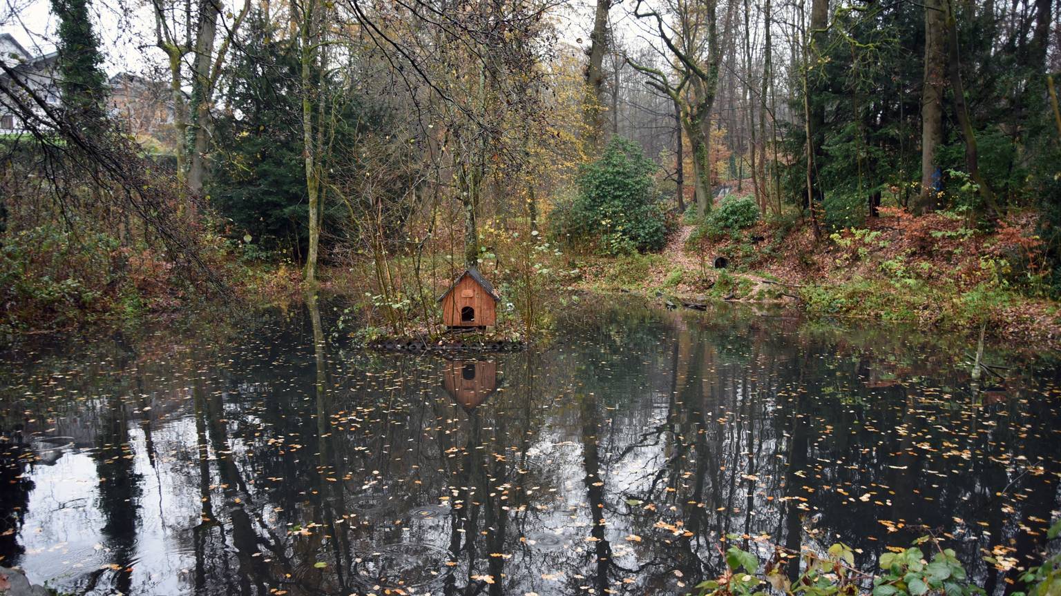 Ein Holzhäuschen steht im Waldbröler Entenweiher. Herbstliches Laub liegt auf dem Wasser.