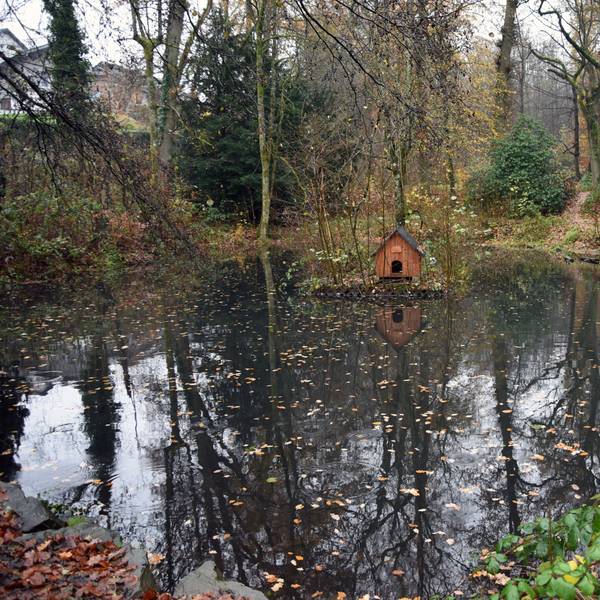 Ein Holzhäuschen steht im Waldbröler Entenweiher. Herbstliches Laub liegt auf dem Wasser.