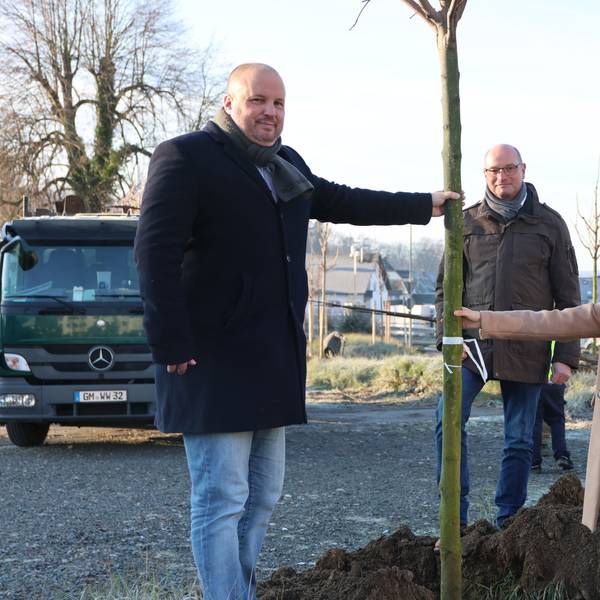 Zwei Männer und eine Frau pflanzen einen Baum in Bergneustadt.