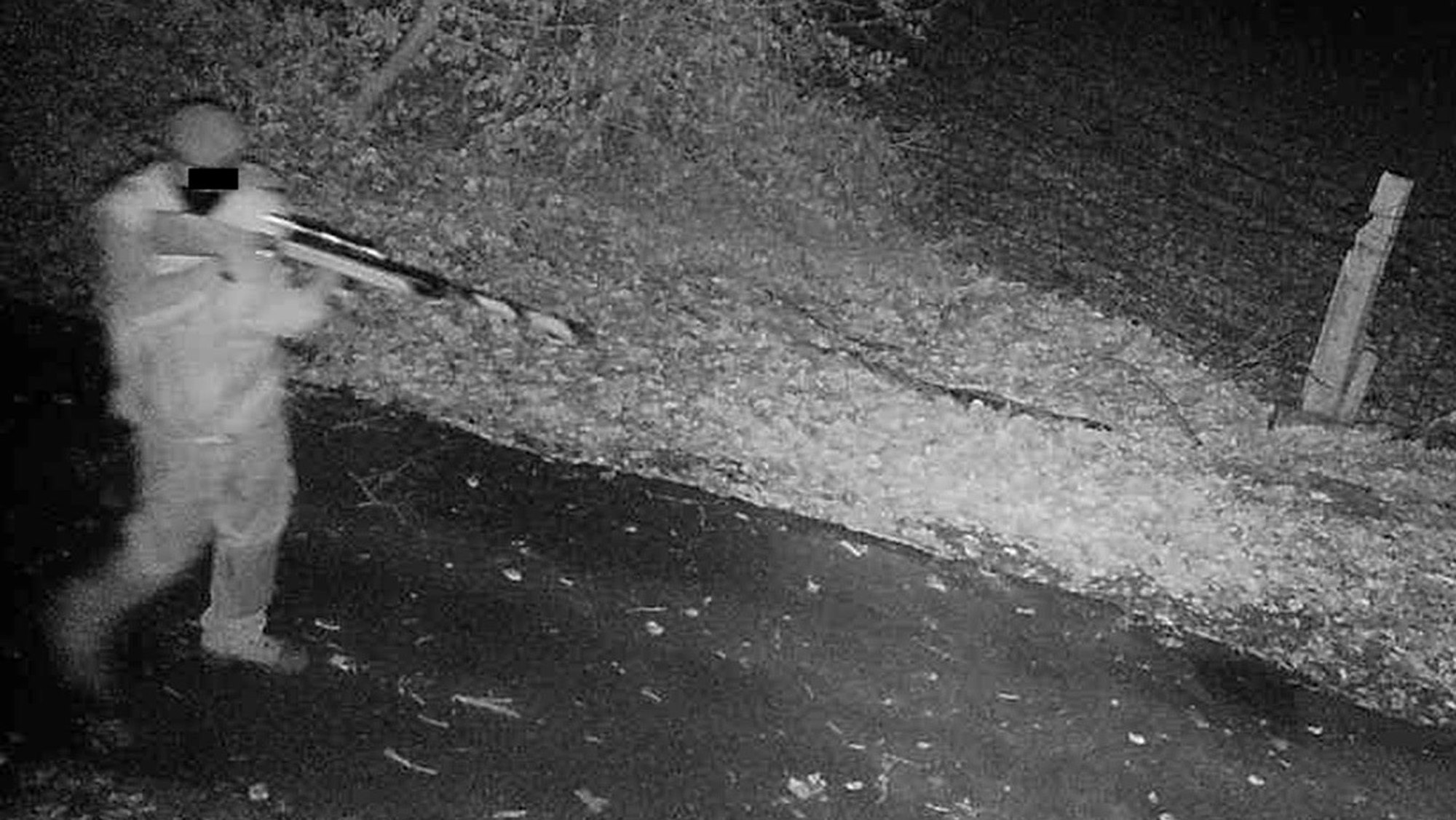 Wilderer auf wildkamera festgehalten Altenhof Foto: Ralf Krieger