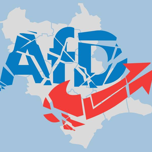 Die AfD im Rhein-Erft-Kreis zerfällt in Teile.