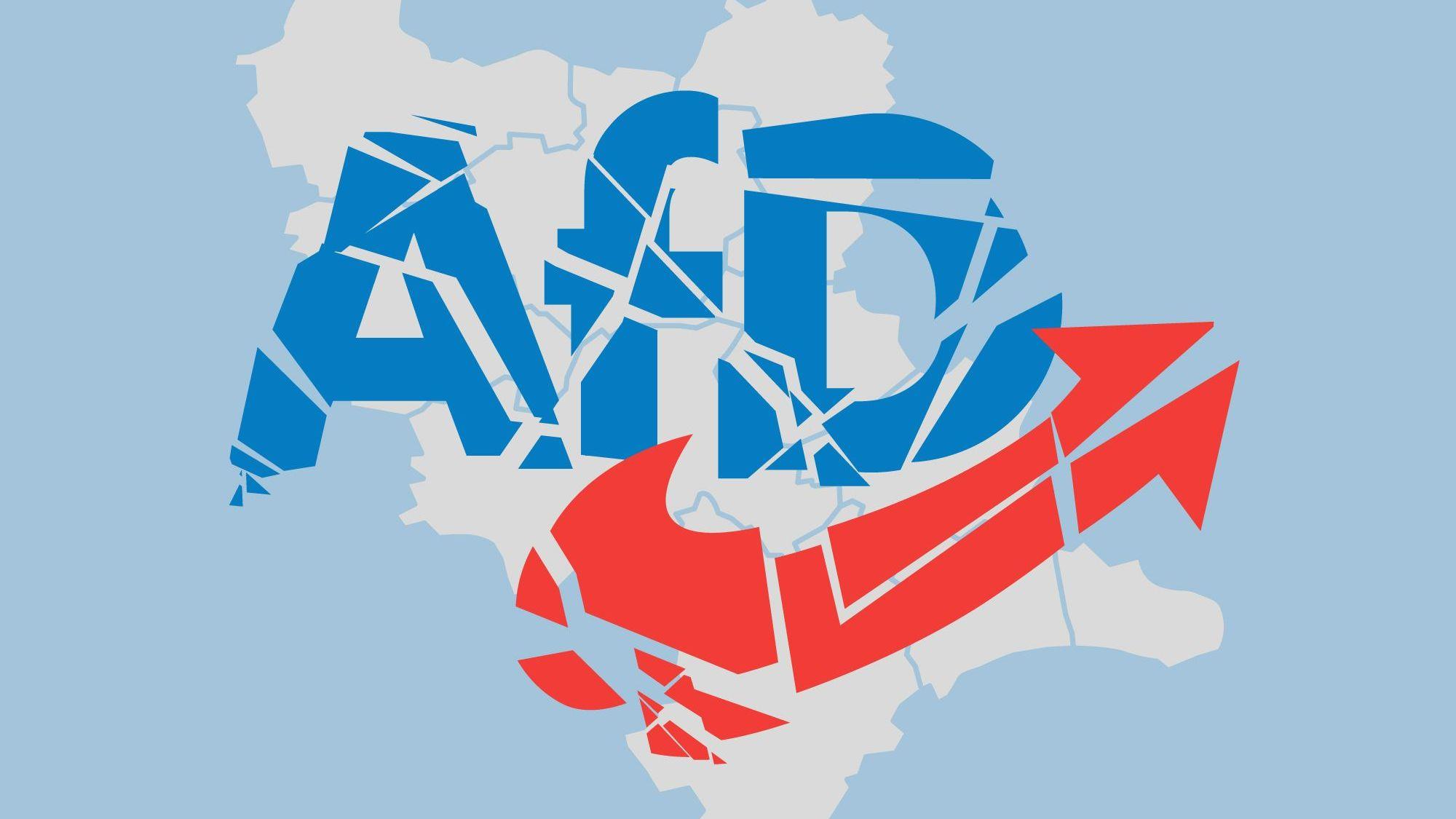 Die AfD im Rhein-Erft-Kreis zerfällt in Teile.