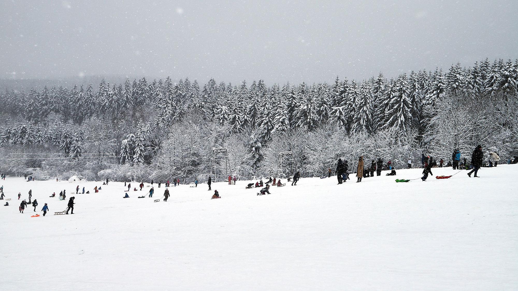 Schneevergnügen am Weißer Stein in Udenbreth