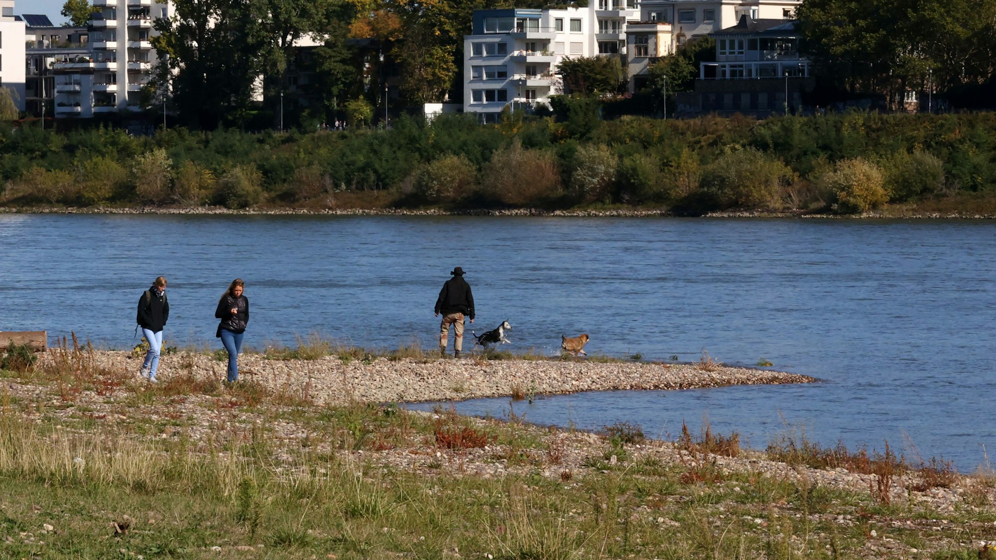 Passanten am Rheinufer in Köln-Niehl