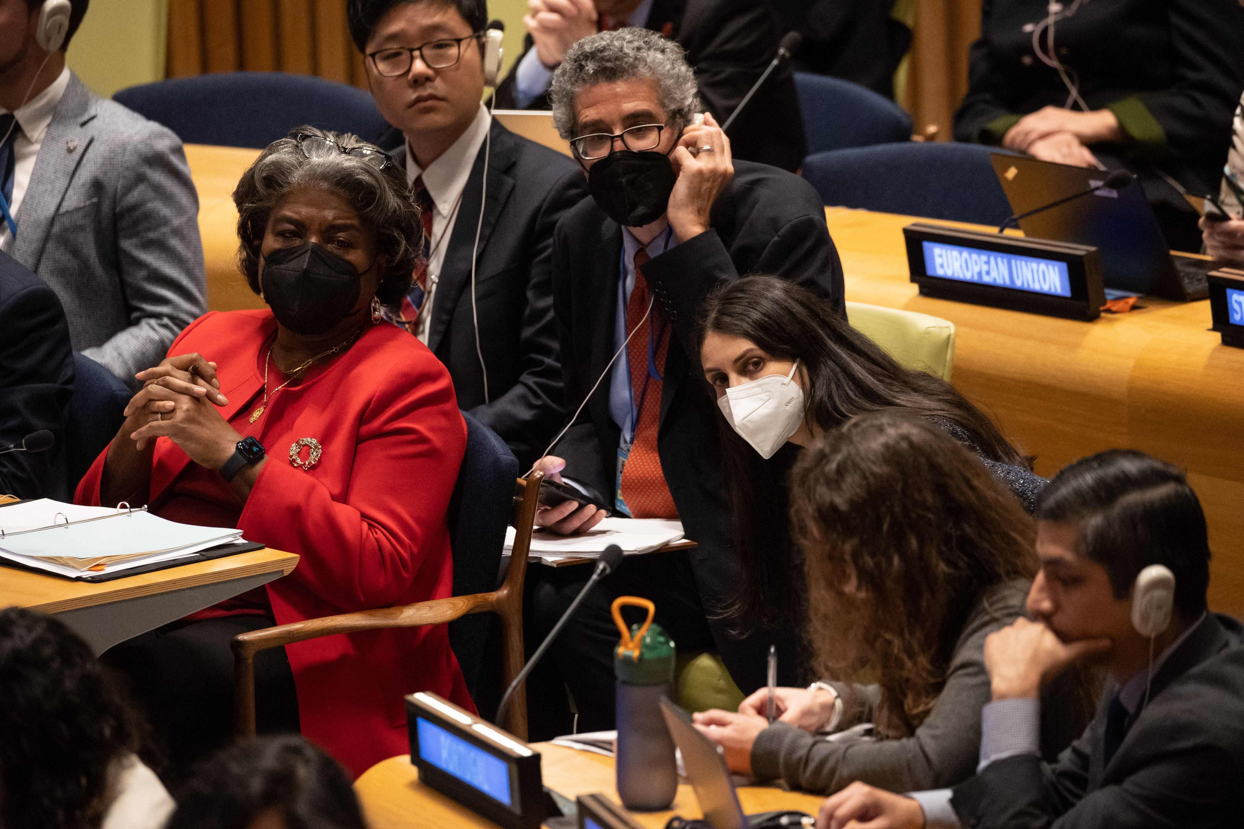 Vertreterinnen und Vertreter der Mitgliedsländer bei der 5. Plenarsitzung des Wirtschafts- und Sozialrats am Sitz der Vereinten Nationen in New York City.