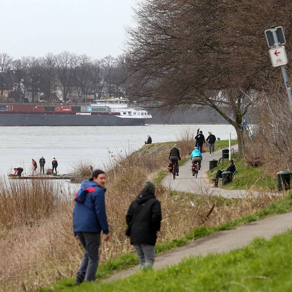 Das Bild zeigt das Rheinufer in Köln-Stammheim mit Spaziergängern und Fahrradfahrern.