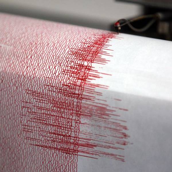 Der Seismograf der Erdbebenwarte verzeichnet Ausschläge. (Symbolbild)